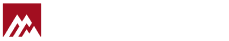 Metalloid Logo